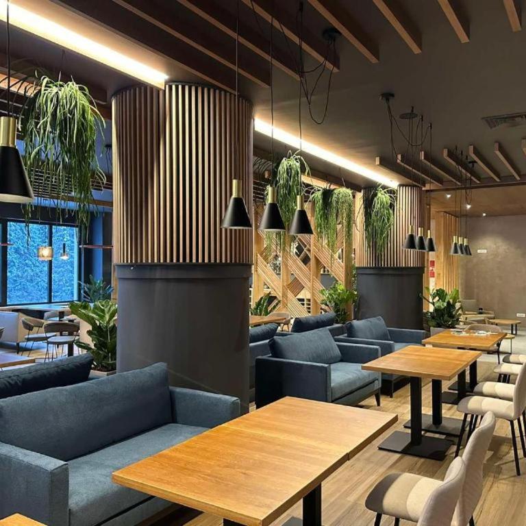 Zlatni Javor Twins - One-Bedroom Apartment - 14