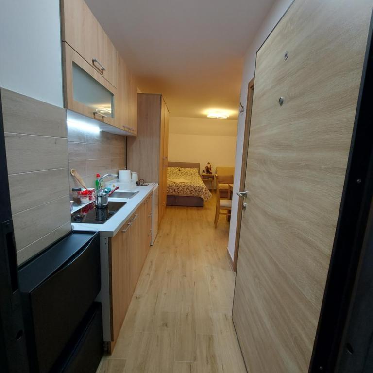Apartman SANJALICA Divčibare - Apartman sa 1 Spavaćom Sobom - 20