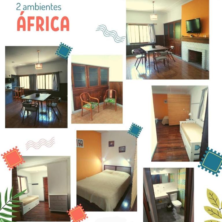 Departamentos India y Africa - Loft - 1