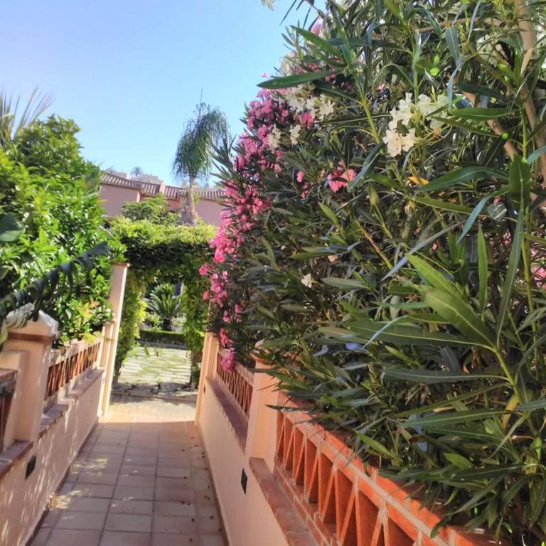 Luxury Two Bedroom Apartment in quiet neighborhood - Two-Bedroom Apartment - 14