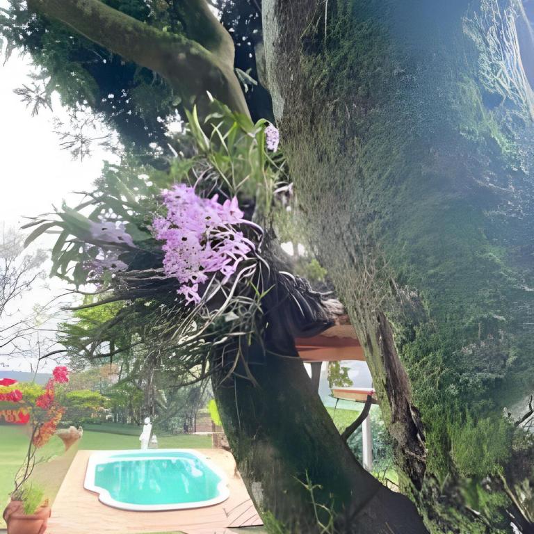 Cabañas con piscina en la entrada de Oberá - Bungalow Deluxe - 14