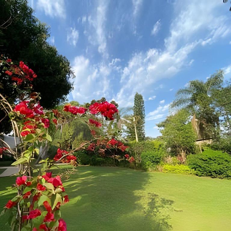 Cabañas con piscina en la entrada de Oberá - Bungalow Deluxe - 16