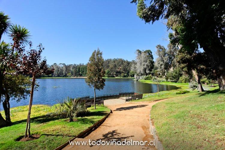 Hermoso y cómodo departamento en Viña del Mar - Three-Bedroom Apartment - 16