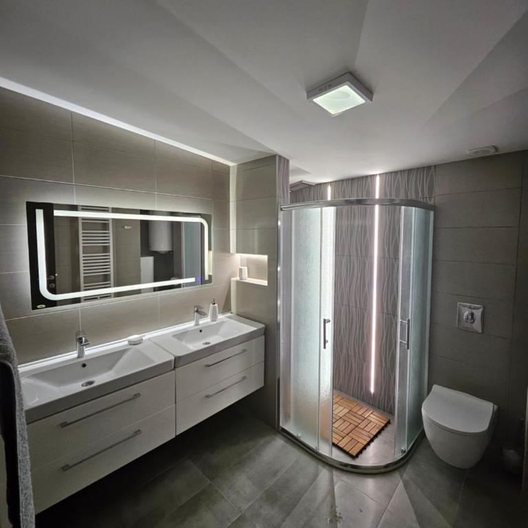 Apartman Jovanic - Apartman sa 1 Spavaćom Sobom - 4