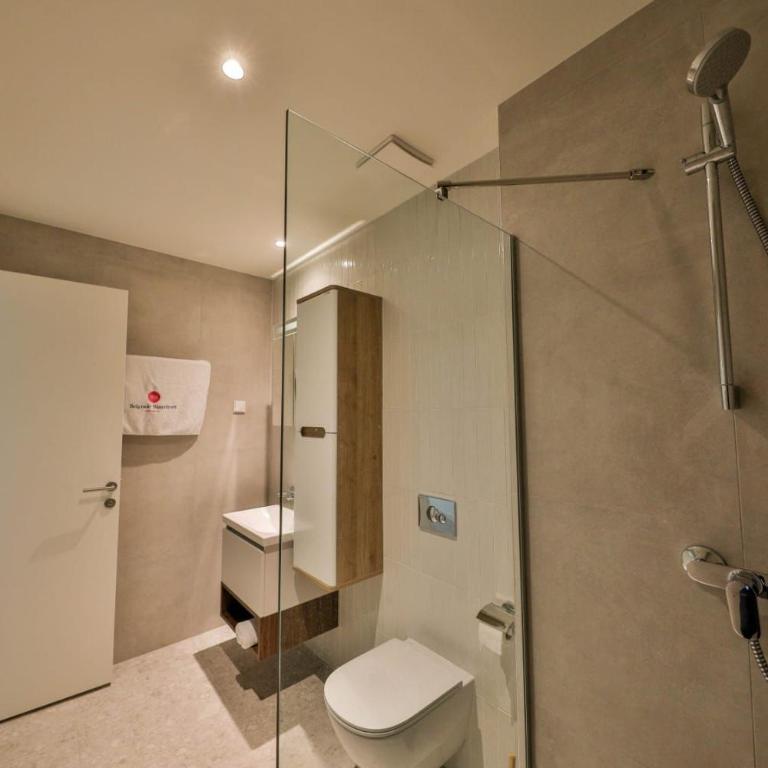 Belgrade Waterfront Apartments - Deluks Dvokrevetna Soba sa Bračnim Krevetom i Balkonom - 10