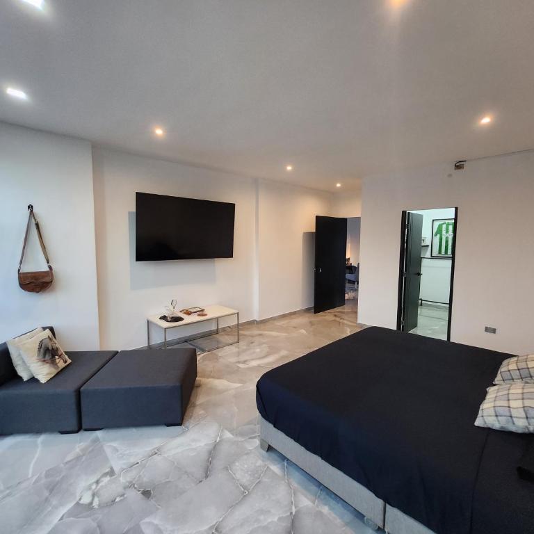 Amazonia Deluxe Calle 13 - Deluxe Apartment - 5