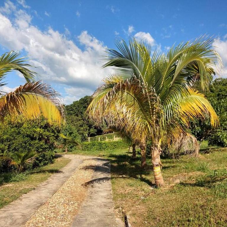 Hermosa casa para desconectar del día a dia - Casa de 4 dormitorios - 3