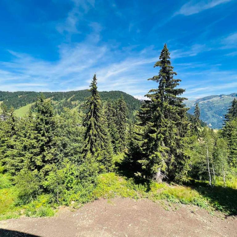 Appartement neuf 3 pièces aux Saisies, 6 pers, parking inclus - Apartment mit 2 Schlafzimmern - 6