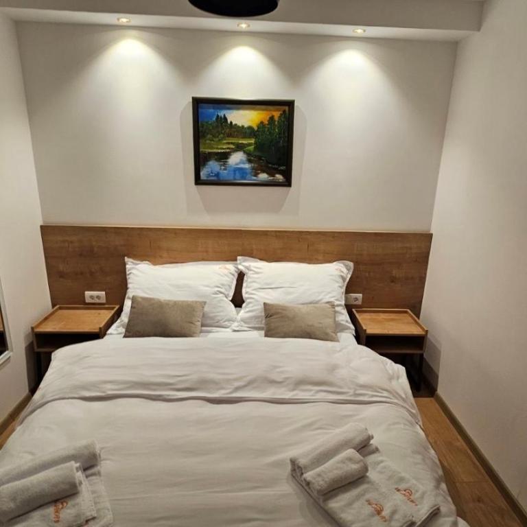 Vila Jahor - Apartman Sofija 9 - One-Bedroom Apartment - 2