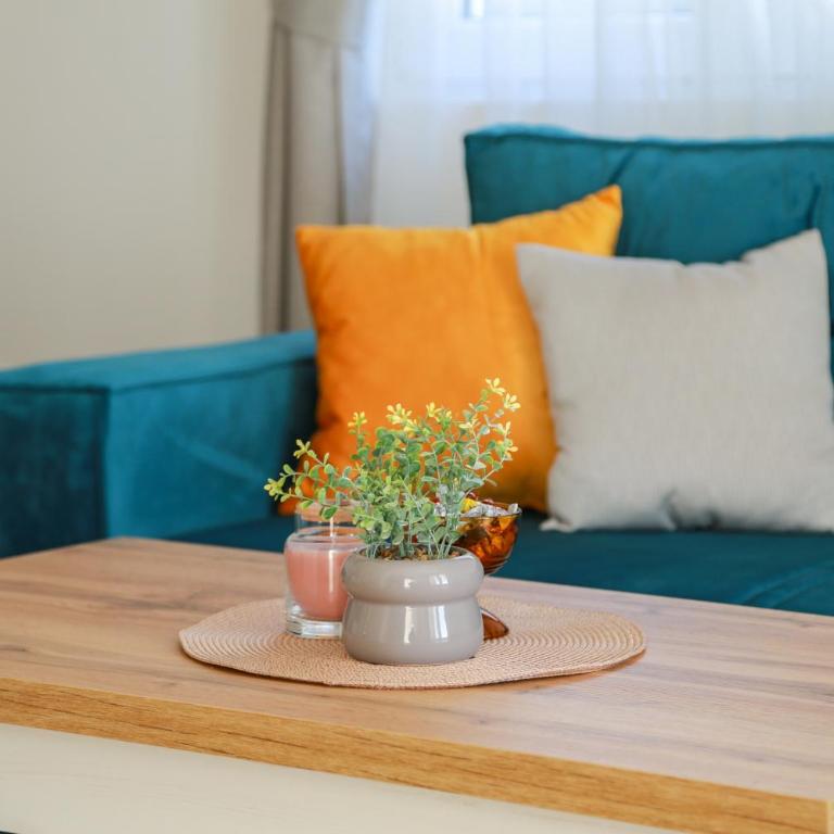 HILLSIDE Apartments - One-Bedroom Apartment - 7