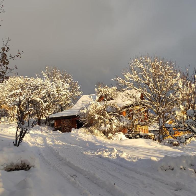 Chalet Mounette Ski Sauna Lac Embrun - Chalet - 5