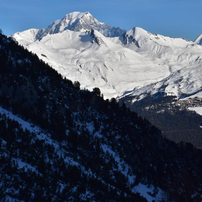 Arcs 1950 Appartement Luxe type chalet 5 à 7 personnes Vue imprenable sur le Montblanc skis aux pieds - Apartment mit Blick auf die Berge - 3