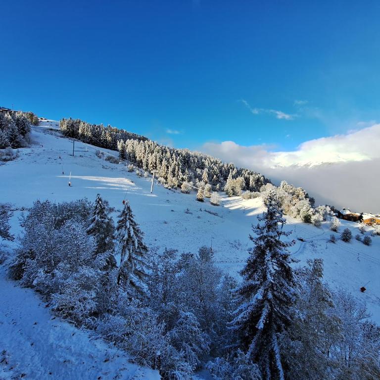 Duplex La Plagne - Montchavin, 4 Pièces, 3 chambres - Apartment mit 3 Schlafzimmern - 15
