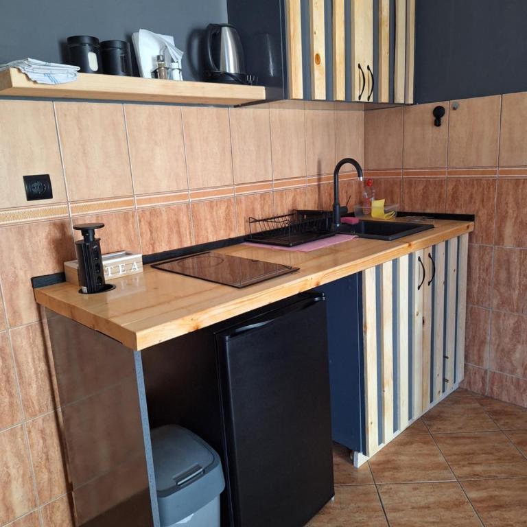 Mrdja Apartments - Apartman s 1 Spavaćom Sobom i Terasom - 3