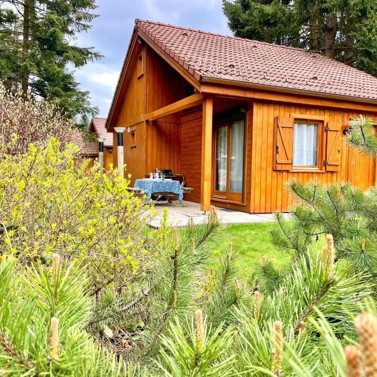 Chalet Myosotis 4 - Chalet - 1