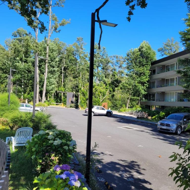 Hermoso Entorno y Vista Espectacular en Pucon - Apartamento de 2 dormitorios - 18