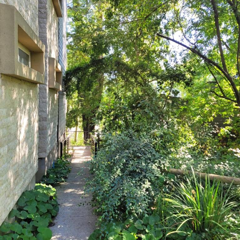 Hermoso Entorno y Vista Espectacular en Pucon - Apartamento de 2 dormitorios - 27