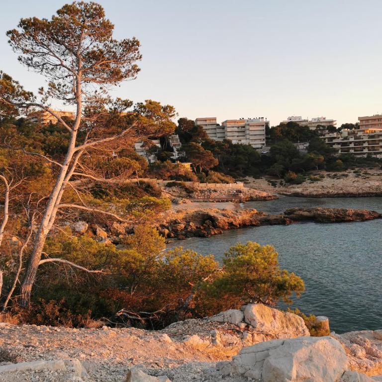 Cap Salou Relaxed Holidays - Apartamento de 1 dormitorio - 16