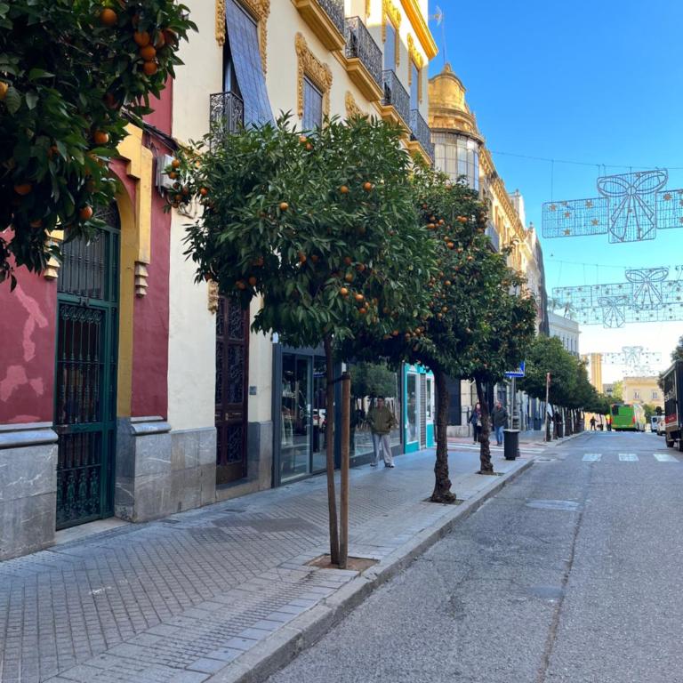 Apartamento Azonaica - One-Bedroom Apartment - 17