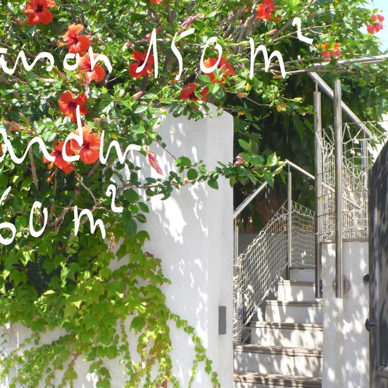 Les galets bleus de Calvi - Villa - 19