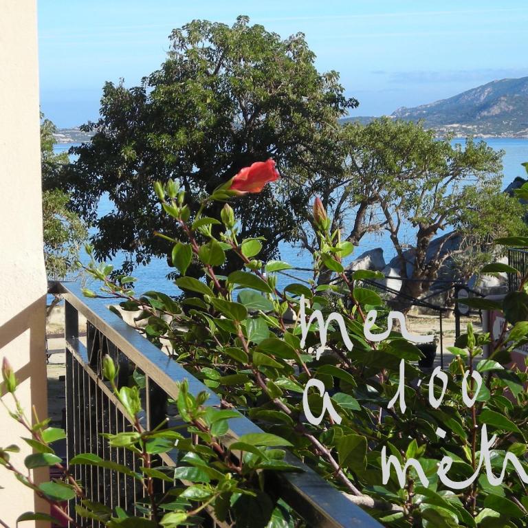 Les galets bleus de Calvi - Villa - 25