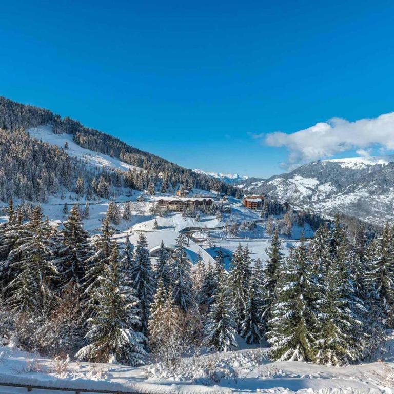 Chalet de luxe à Courchevel avec jacuzzi et cheminée - FR-1-563-30 - Chalet (8 Adultes) - 16