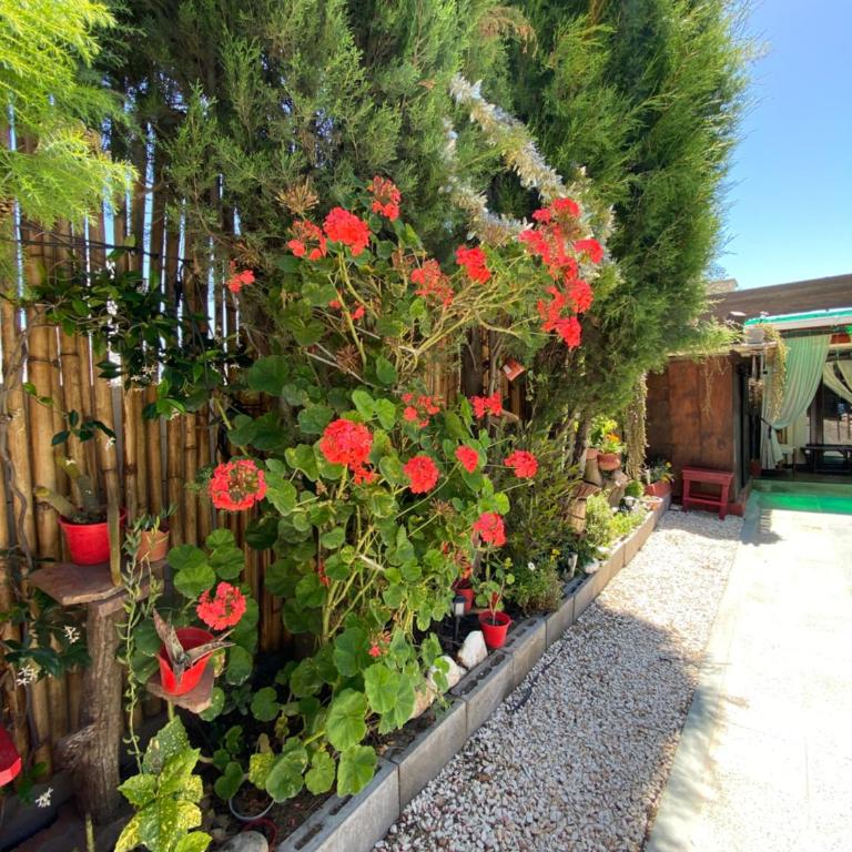 Casa Confortable - Casa - 32