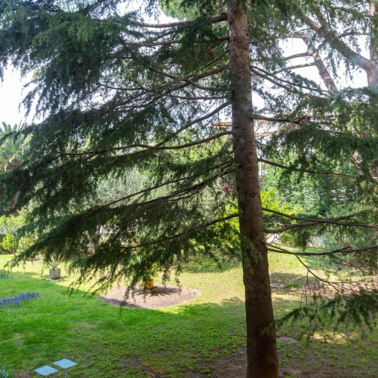 2-Br apartment 2 minutes from the beach parking - Appartement - 25