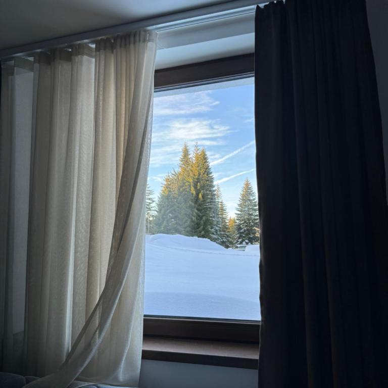 ZIMSKI Apartmani - Studio - 3