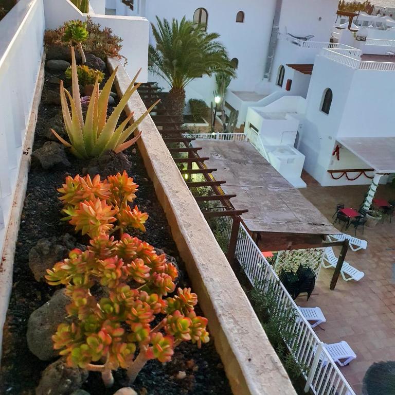 NEW Pools Wonderful Views AC - Deluxe Apartment - 6
