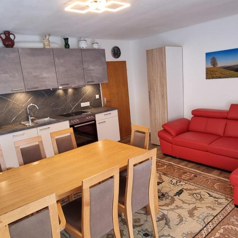 Appartement-Reiteralm Schober - Apartment - 6