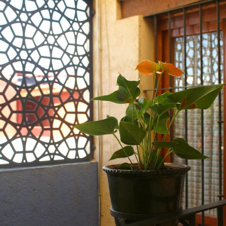 Hotel Rosa Mexicano - Apartamento Estándar - 2