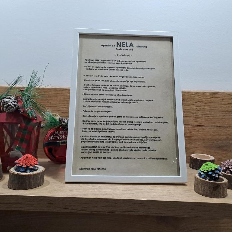 Apartman Nela 2 Jahorina - Apartman sa 1 Spavaćom Sobom - 31