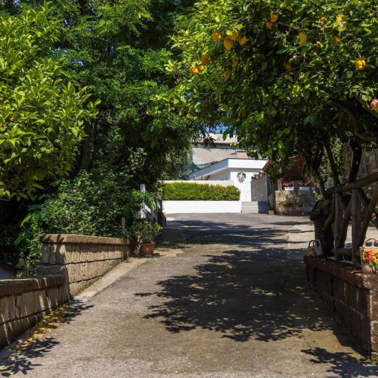 Sorrento Villa with Pool and Amazing Views - Villa con Piscina Privata - 48