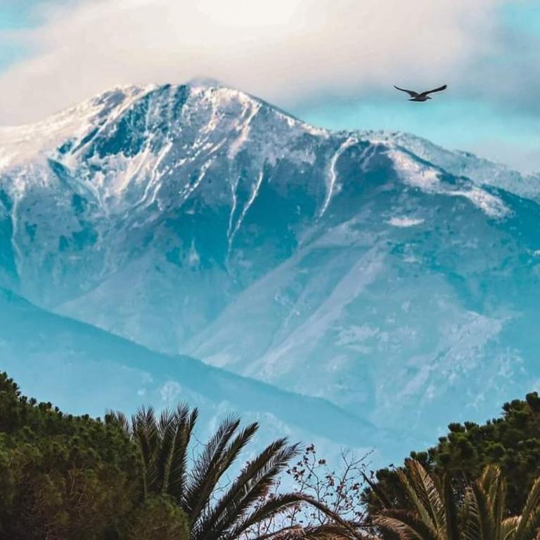 Loratori La Felicidad Cures & Vacances - Appartement 1 Chambre - 46