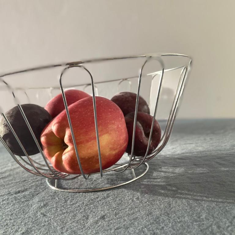 Apto en Minas con amplio fondo, aire acondicionado, ideal para descansar - Apartamento de 1 dormitorio - 13