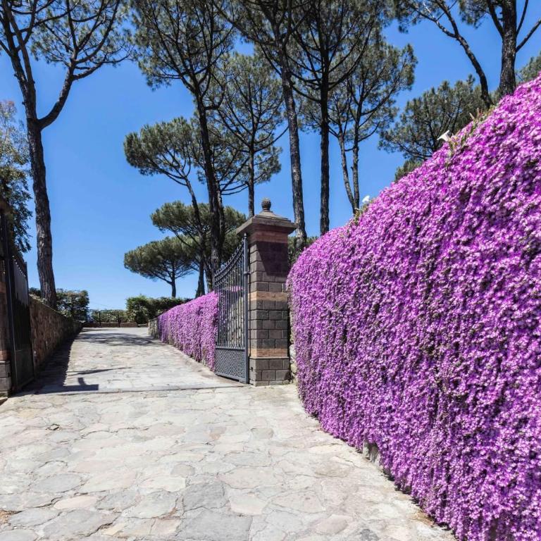 My Exclusive Italy - Elegant Sorrento Coast Villa with Pool and Tennis Court - Villa - 4