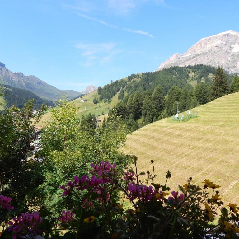Chalet Pradat - Appartamento con 2 Camere da Letto - 1