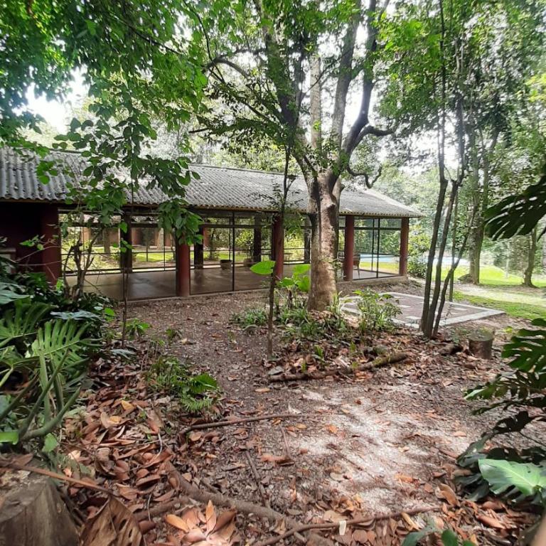 La Manquel - Casa y Yungas - Casa - 8