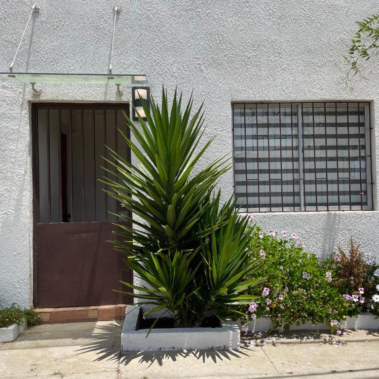 Apartamentos Brisa Torrealba, cercano a reloj de flores, Recreo - Apartment with Terrace - 14
