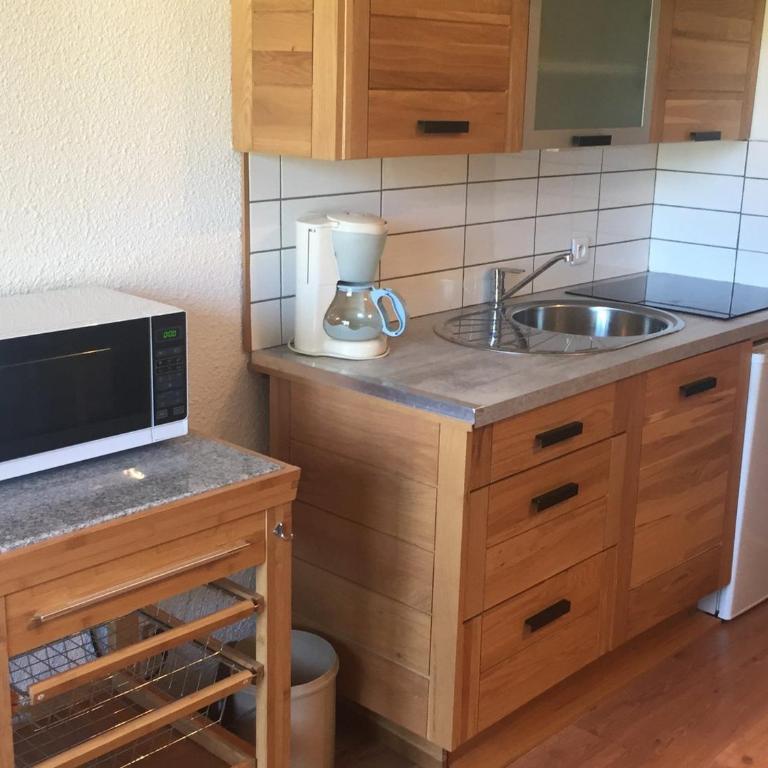 2 Pièces Sud-Est Chamonix, Parking & Animaux admis - FR-1-517-54 - Appartement (3 Adultes) - 2