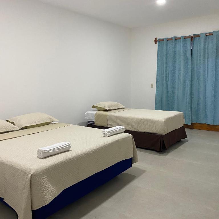 Penguin House - Single Room - 2