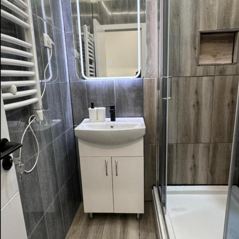 Global City Studio - Apartman sa 1 Spavaćom Sobom - 4