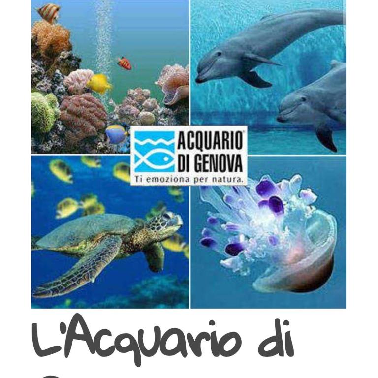 Ca' Barabino - Appartamento con 2 Camere da Letto - 47