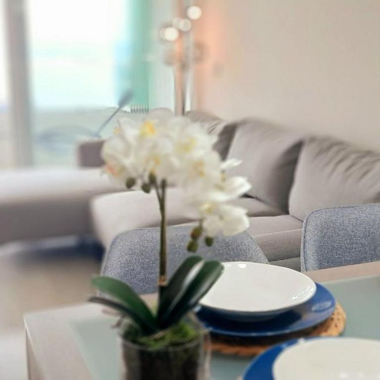 Rbk° Depto Espectacular vista despejada al mar - Apartamento - 4