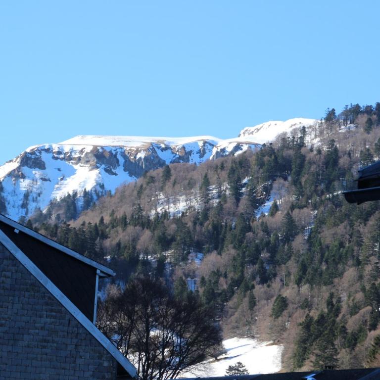 Les cascades - Apartment mit 2 Schlafzimmern - 43
