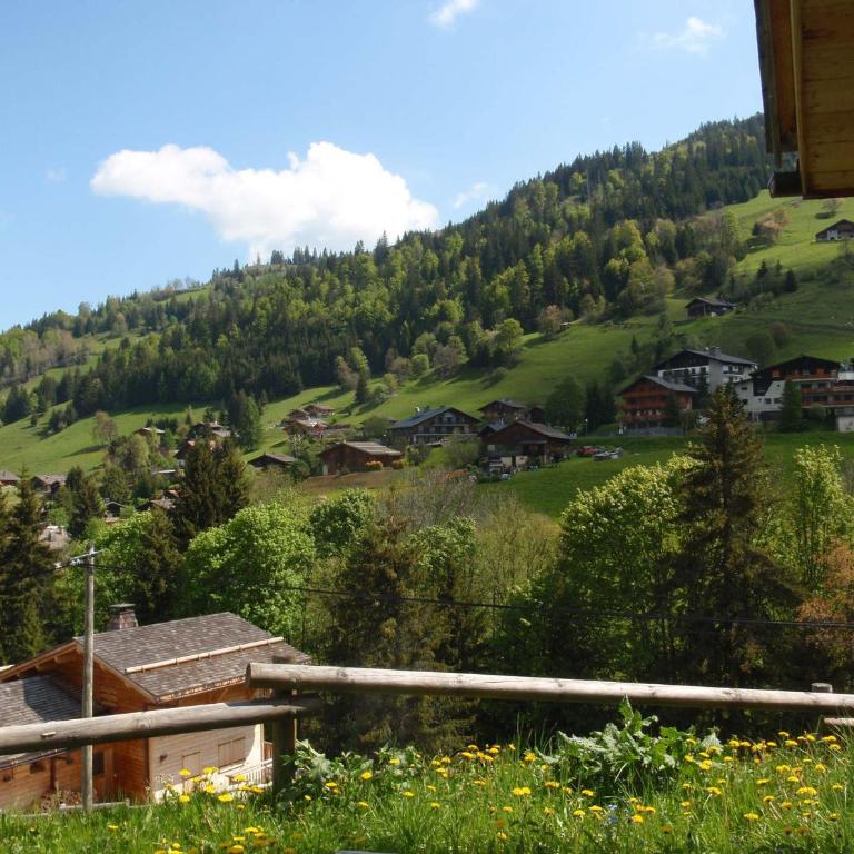 Chalet 12 pers - Sauna - Terrasse - Wifi - FR-1-437-9 - Chalet (12 Adultes) - 4