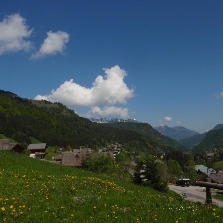 Chalet 12 pers - Sauna - Terrasse - Wifi - FR-1-437-9 - Chalet (12 Adultes) - 7