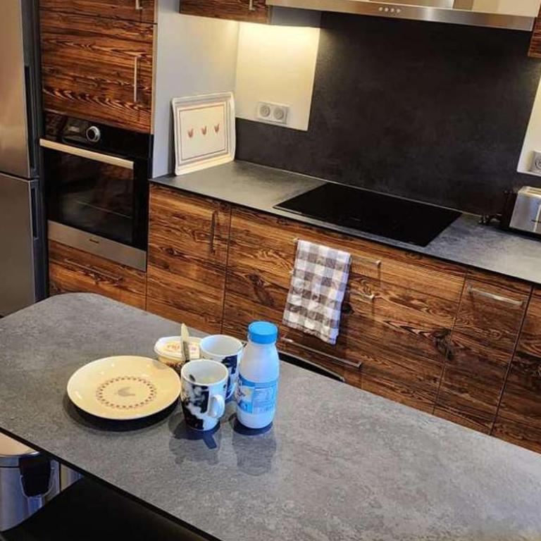 Appartement rénové Les Gets, 4 pers., balcon, parking, navette gratuite - Appartement 1 Chambre - 2