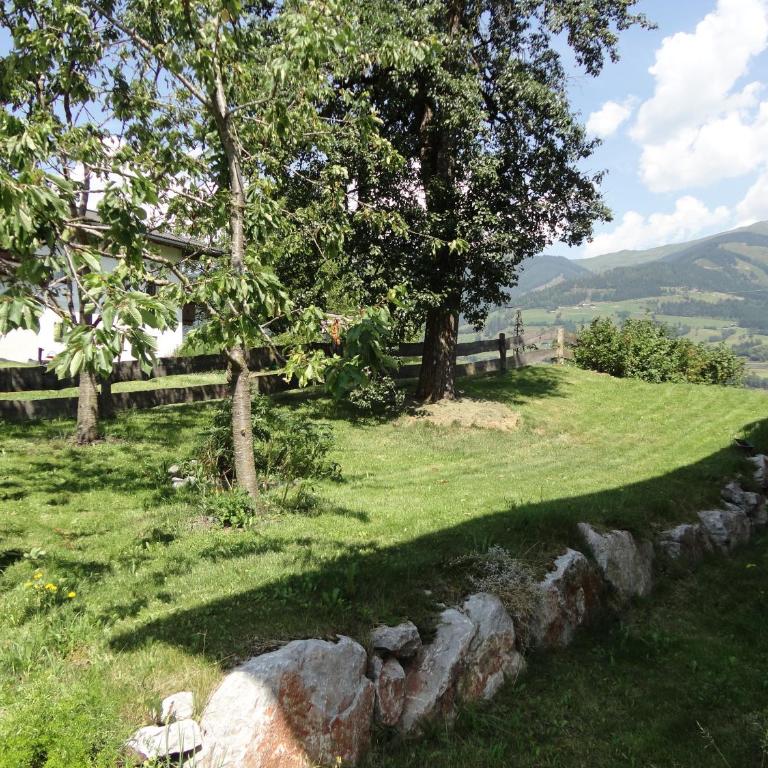 Landhaus Ganzer - Apartment - Ground Floor - 35